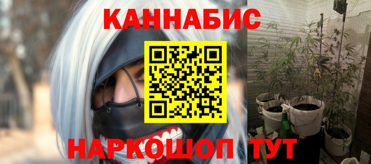 Бошки марихуана марихуана Великий Новгород